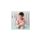 Fisher-Price Uyku Arkadaşı Su Samuru, FXC66