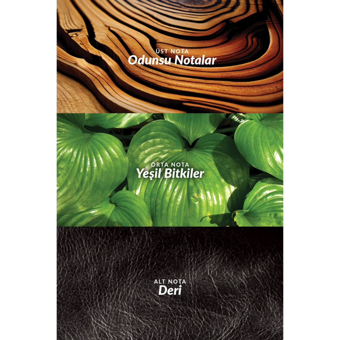 Avon Black Suede Erkek Parfüm, Rollon, Saç ve Vücut Şampuanı Hediye Paketi