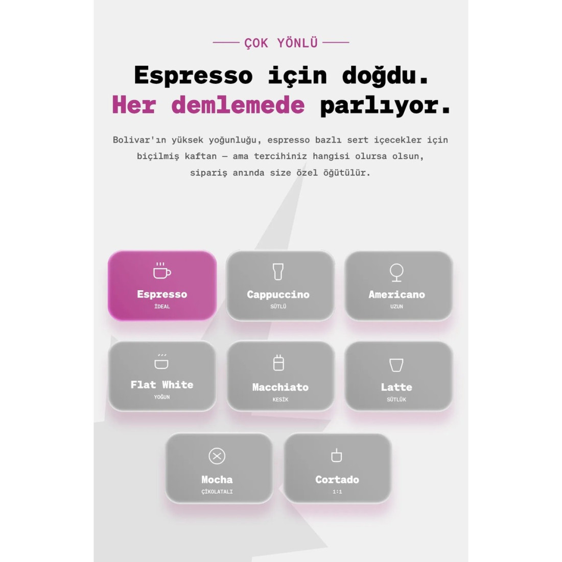 Anisah Coffee Bolivar Espresso Çekirdek Kahve | 1000gr