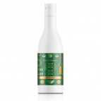 Forest Dreams. Duş Jeli, 300 ml