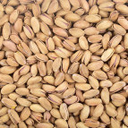 Kavrulmuş 1. Sınıf Extra Lux Antep Fıstığı 1 Kg