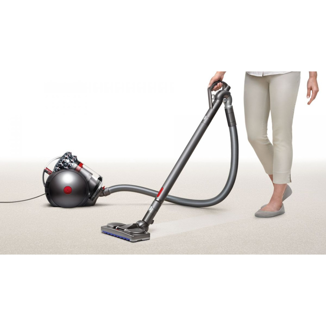 Dyson Cinetic Big Ball Animal Pro 2