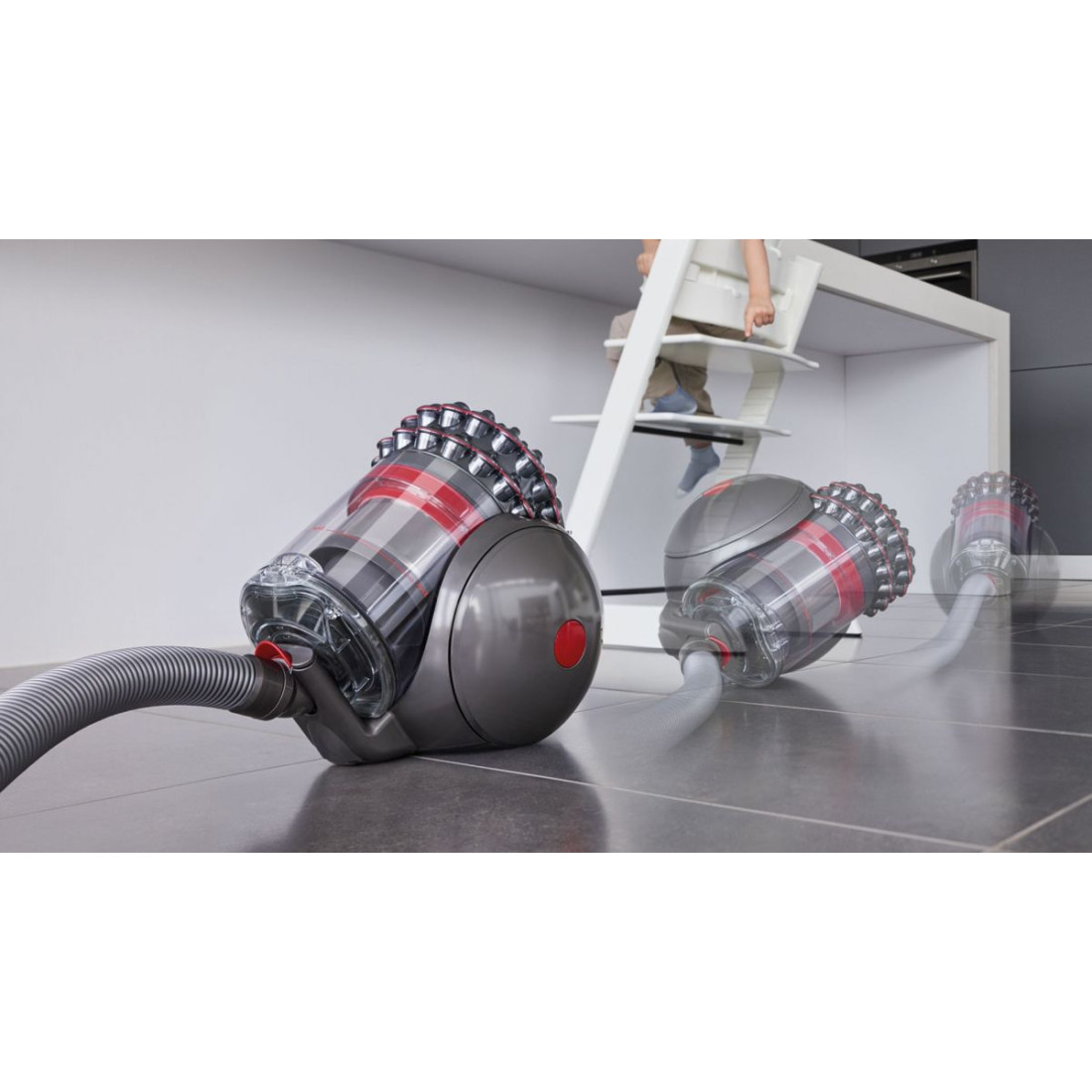 Dyson Cinetic Big Ball Animal Pro 2