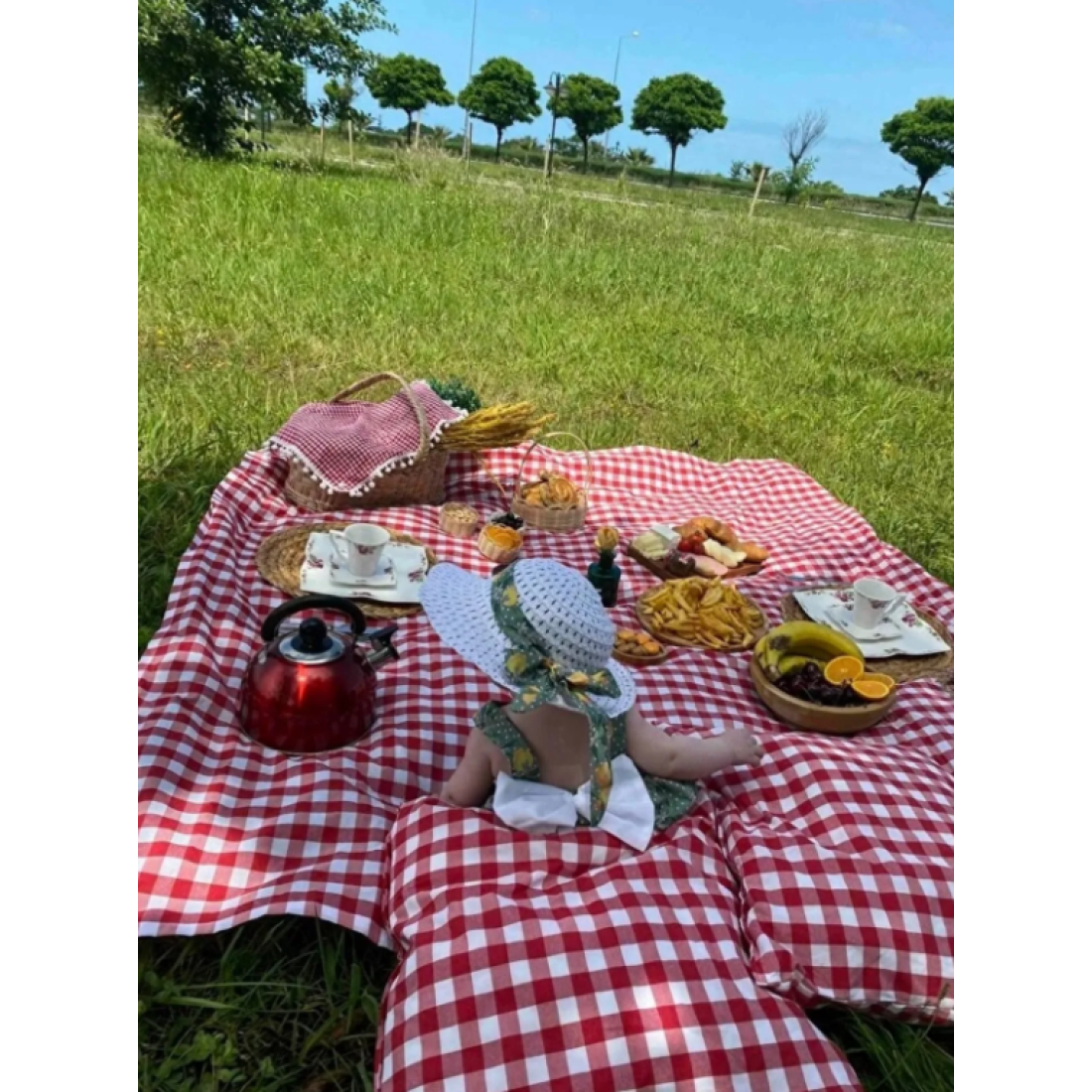 Genel Markalar Günbatımı Piknik Seti Kırmızı Piknik Örtüsü Masa Örtü 2 Minder Hediyeli (40X40Cm)