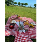 Genel Markalar Günbatımı Piknik Seti Kırmızı Piknik Örtüsü Masa Örtü 2 Minder Hediyeli (40X40Cm)
