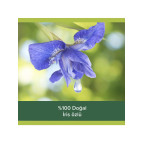 Palmolive Aroma Sensations So Relaxed Aromatik Banyo ve Duş Jeli 750 Ml