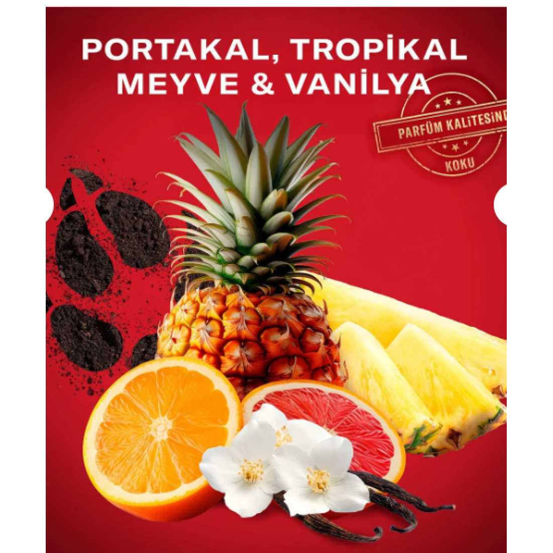 Old Spice Gamer Hediye Seti: Wolfthorn Deodorant Stick 50 ml + Duş Jeli 250ml