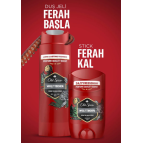 Old Spice Gamer Hediye Seti: Wolfthorn Deodorant Stick 50 ml + Duş Jeli 250ml