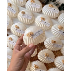 Genel Markalar 20 Adet Istiridye Kutu Içerisinde Mum, Nikah Şekeri, Doğum, Sünnet, Düğün Nişan Söz, Kına, Doğum Gün